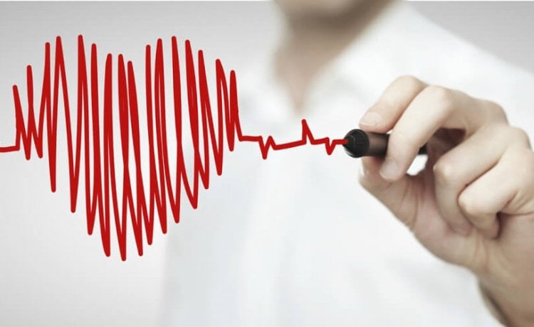 normalan krvni pritisak i otkucaji srca maline s hipertenzijom