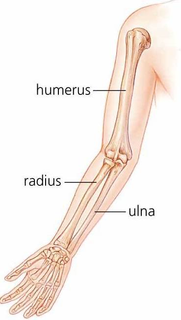 dureri de genunchi după operație